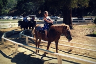 Hazel loves the bigger ponies that trot.